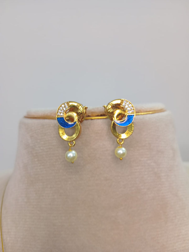 Sriyas Collections